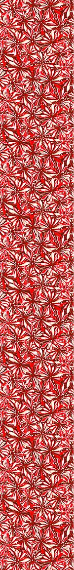 patterned-wallpaper-floral-splendor