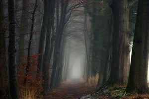 photo-wallpaper-oh-so-moody-x