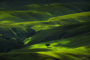 photo-wallpaper-savana-mamboro-x