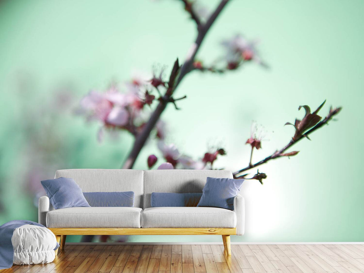 photo-wallpaper-beautiful-japanese-cherry-blossom