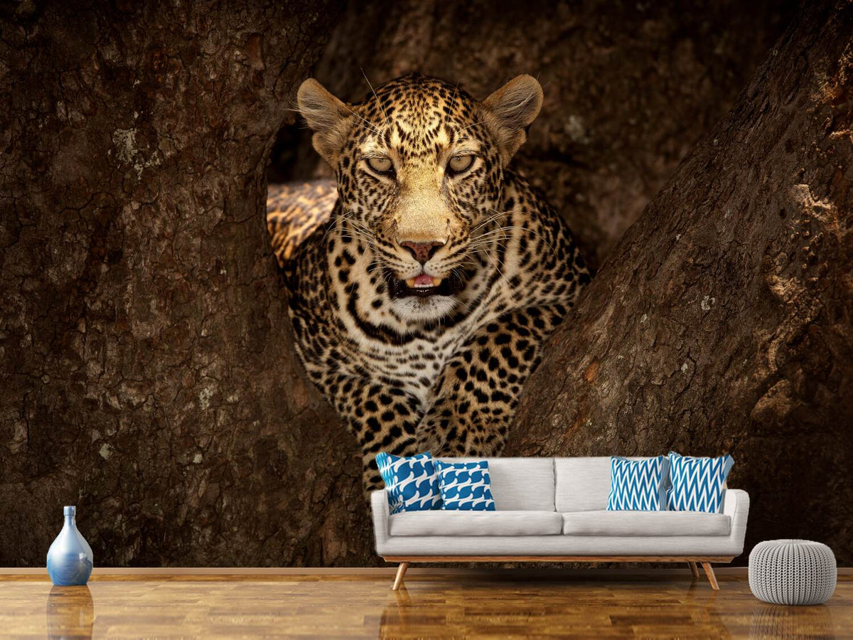 photo-wallpaper-leopard-resting-on-a-tree-at-masai-mara