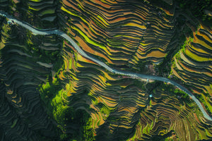 photo-wallpaper-the-way-of-terraced-fields-x