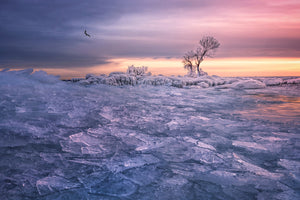 photo-wallpaper-winter-wonderland-x