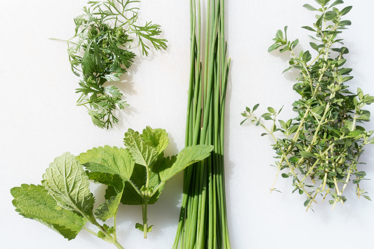 photo-wallpaper-fresh-herbs