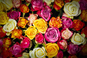 photo-wallpaper-many-colorful-rose-petals