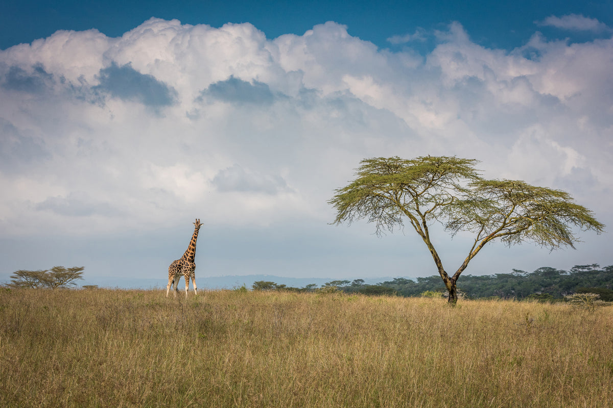 photo-wallpaper-east-africa