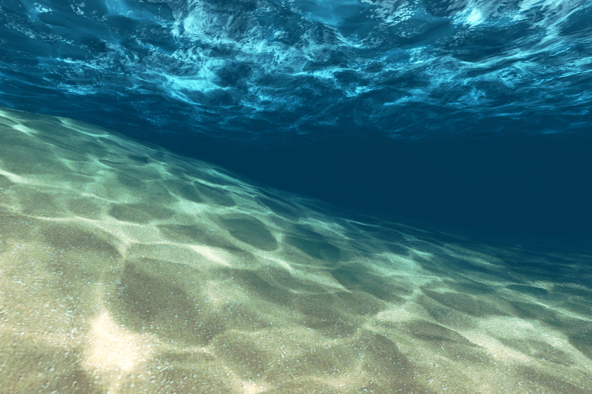 photo-wallpaper-under-the-water