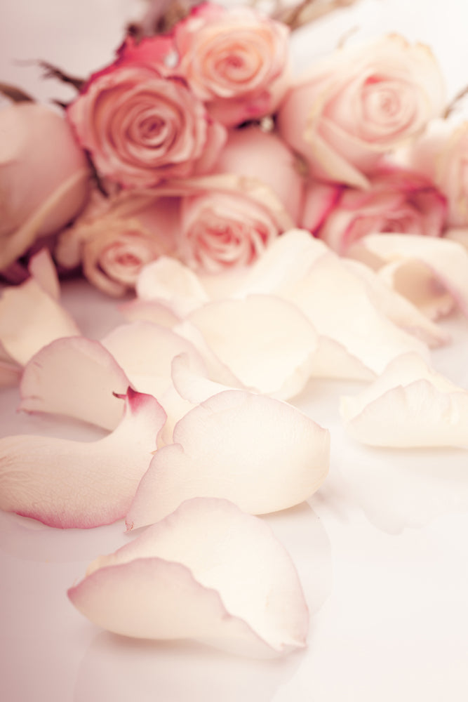 photo-wallpaper-soft-rose-petals