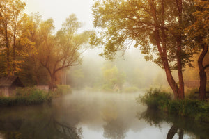 photo-wallpaper-foggy-autumn-x