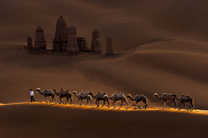 photo-wallpaper-castle-and-camels