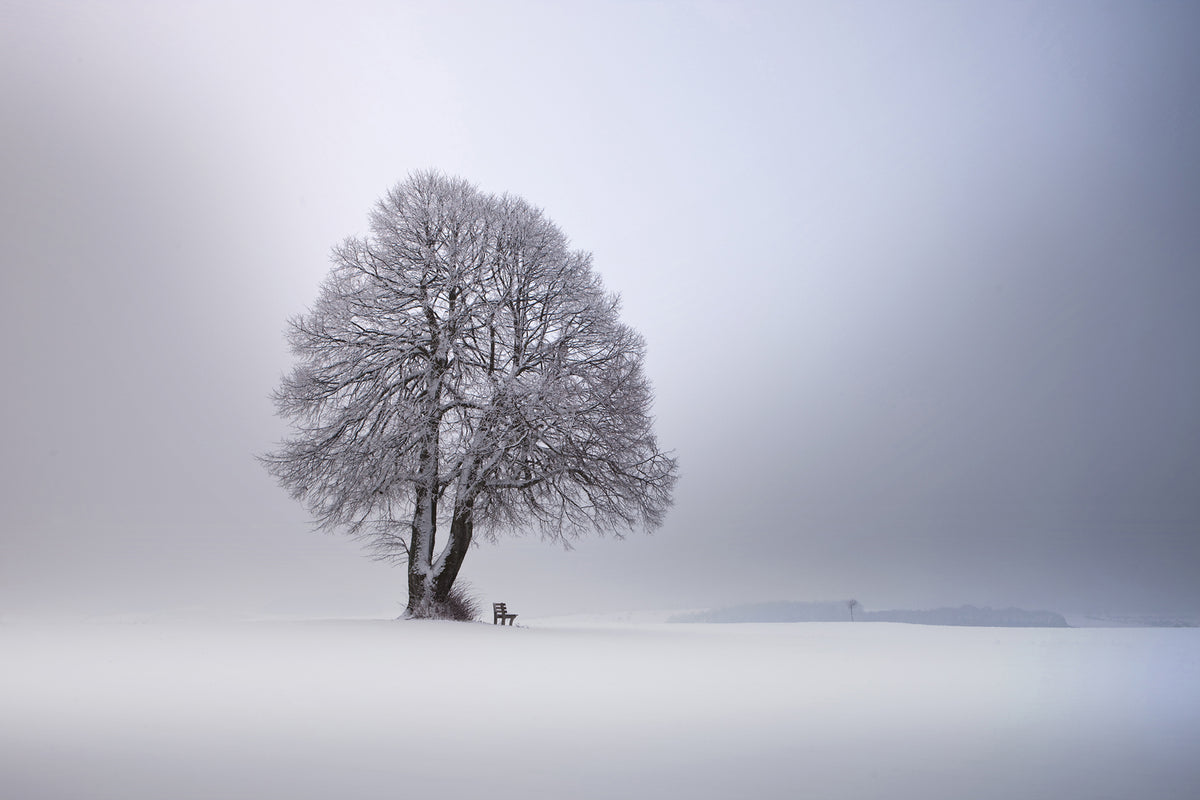 photo-wallpaper-winter-light-xpy