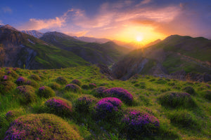 photo-wallpaper-spring-in-show-x