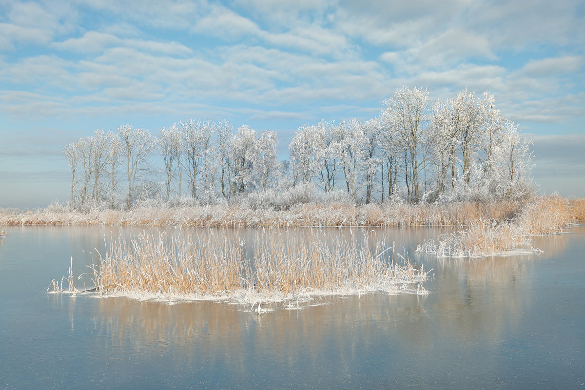 photo-wallpaper-winter-xfq