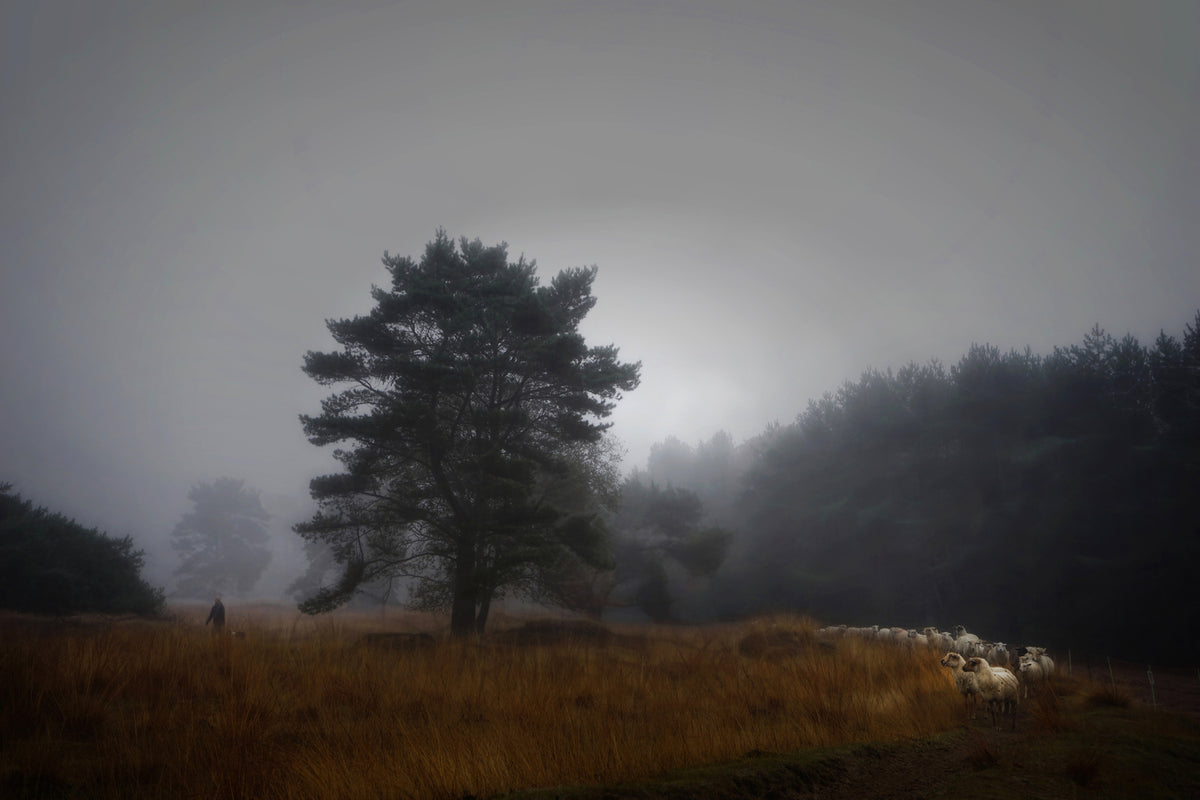 photo-wallpaper-foggy-memory-of-the-past