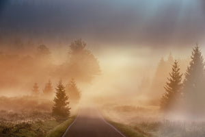 photo-wallpaper-magical-morning-x