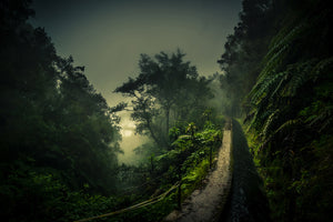 photo-wallpaper-levada-walk-x