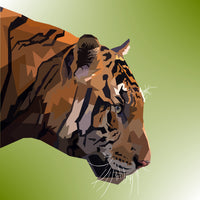 photo-wallpaper-pop-art-tiger