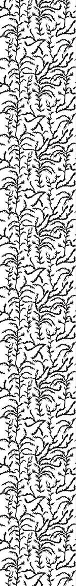 patterned-wallpaper-cypress-impression