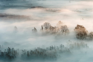 photo-wallpaper-winter-fog