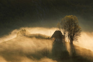 photo-wallpaper-house-of-the-rising-sun-x