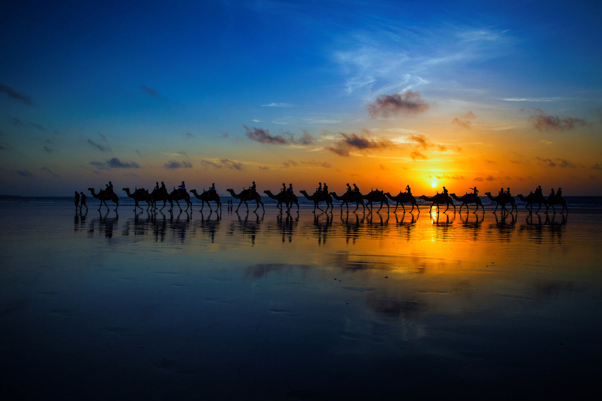 photo-wallpaper-sunset-camel-ride