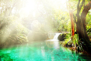 photo-wallpaper-the-green-lagoon