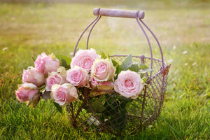 photo-wallpaper-a-basket-full-of-roses