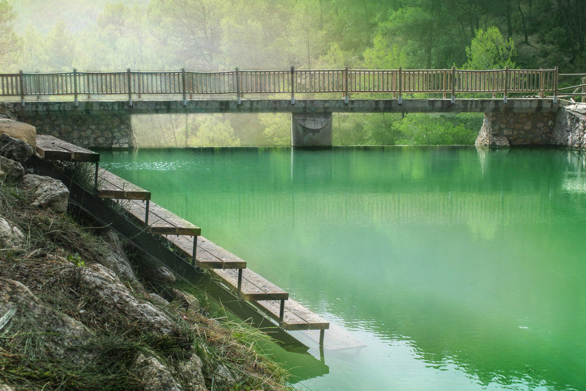 photo-wallpaper-the-green-pond