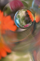 photo-wallpaper-floral-sphere