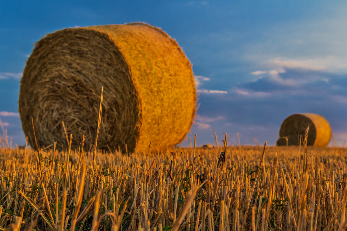 photo-wallpaper-straw-bales