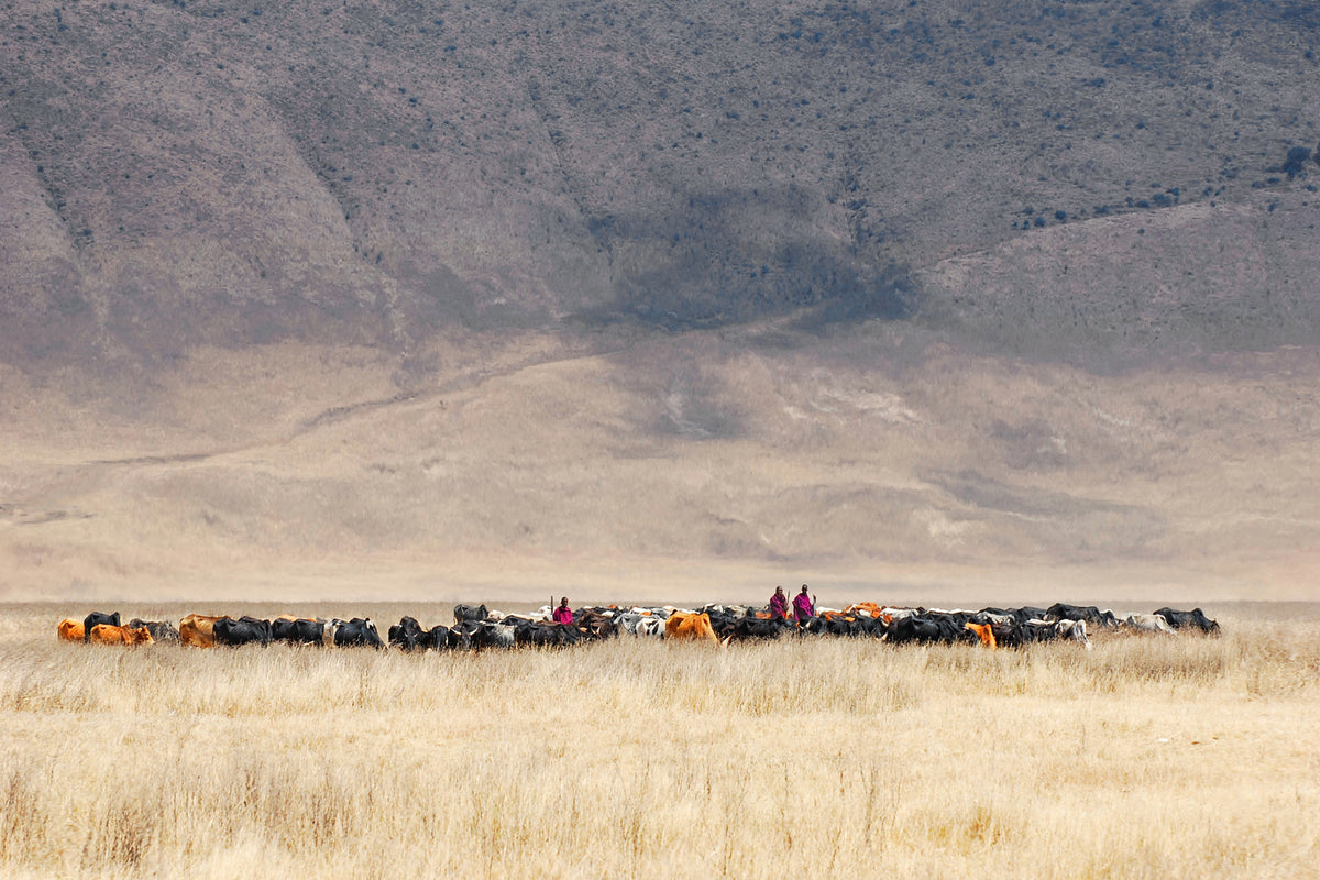 photo-wallpaper-incredible-maasai