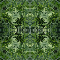 patterned-wallpaper-the-jungle-portal