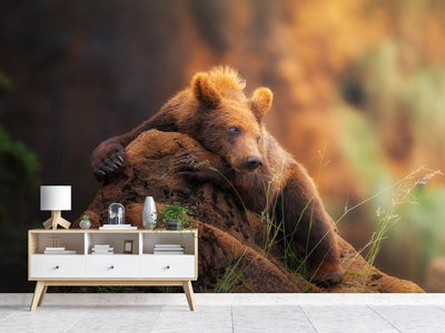 photo-wallpaper-bear-portrait-x