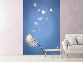 photo-wallpaper-dandelion-xl