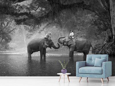 photo-wallpaper-two-elephants