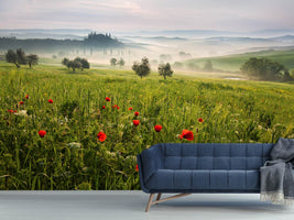 photo-wallpaper-tuscan-spring