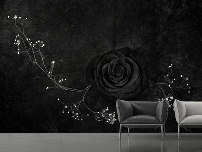 photo-wallpaper-rose-noire