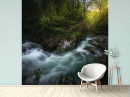 photo-wallpaper-gorge-i