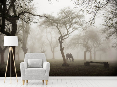 photo-wallpaper-horses-in-a-foggy-orchard-x