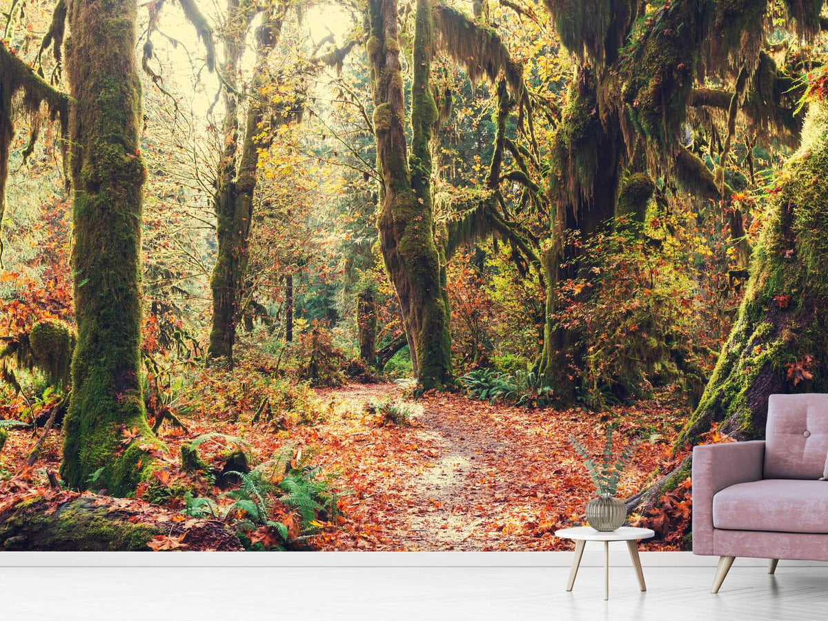 photo-wallpaper-fairies-forest