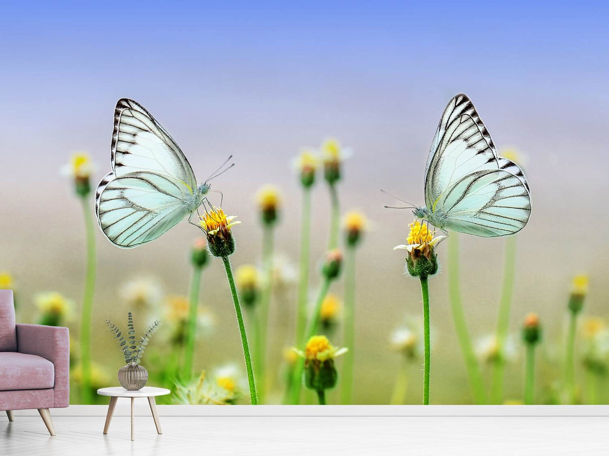 photo-wallpaper-2-butterflies