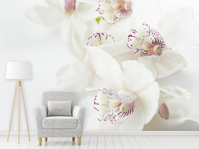 photo-wallpaper-fantastic-orchids