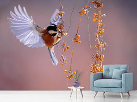 photo-wallpaper-bird-in-action