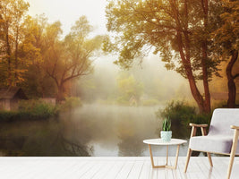 photo-wallpaper-foggy-autumn-x