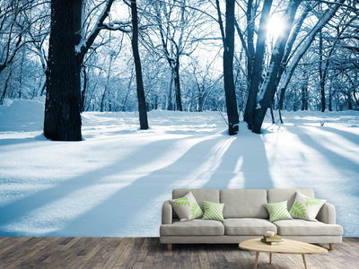 photo-wallpaper-the-forest-without-tracks-in-the-snow