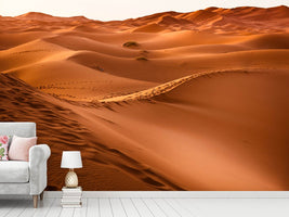 photo-wallpaper-traces-in-the-desert