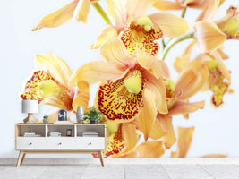 photo-wallpaper-yellow-orchid