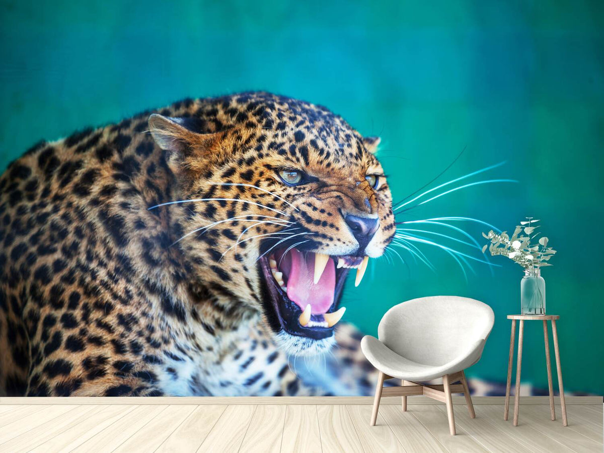 photo-wallpaper-attention-leopard