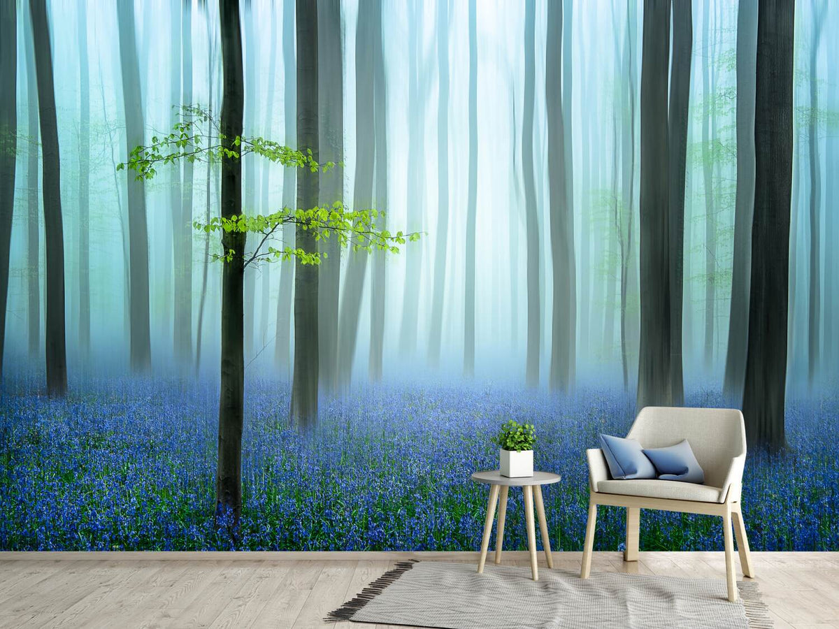 photo-wallpaper-the-blue-forest