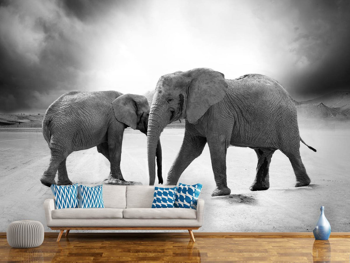 photo-wallpaper-2-elephants-sw